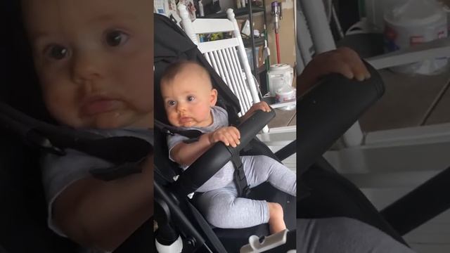 Rottweiler Angry At Statue! |96