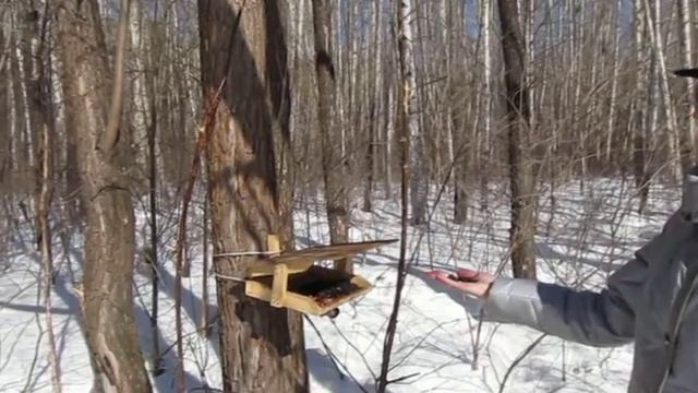 Кормушка для птиц на озерах смотреть онлайн