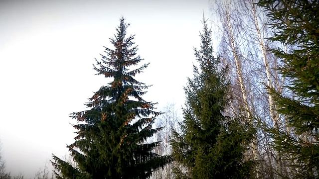Тверская область присоединилась к новому этапу «Туристического кэшбека» смотреть онлайн
