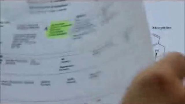 The Furman Files: malpractice & new law causes mother to lose past & future children смотреть онлайн