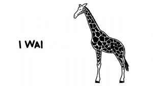 Lenka - Everything at Once - Lyrics - Animation