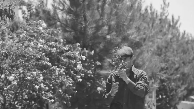 РЕТРО. У самого синего моря смотреть онлайн