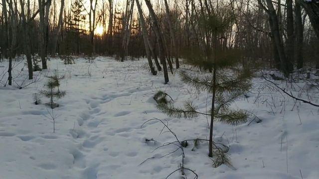 Грот - страна перекрестков смотреть онлайн