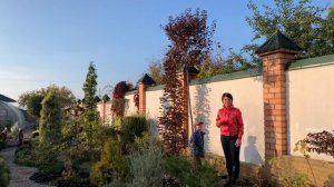 Какие деревья и кустарники появились в саду. ЛАНДШАФТНЫЙ ДИЗАЙН