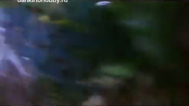 Скалярия Виды, уход, размножение смотреть онлайн