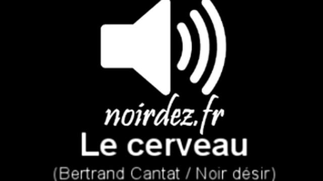 Le cerveau - Bertrand Cantat - Noir Désir - atonetoile.com смотреть онлайн