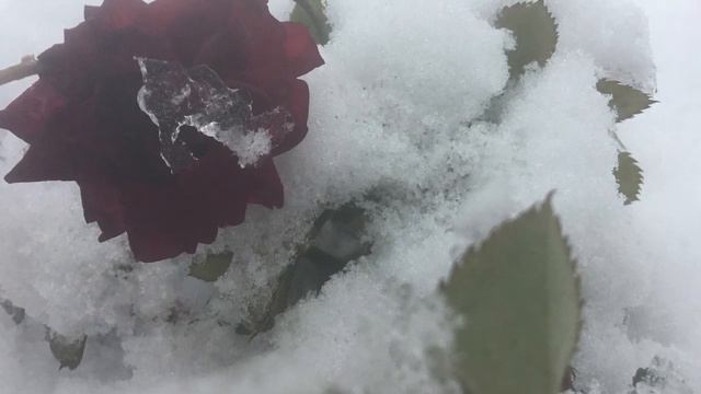 ПРИТЧА ДЛЯ ОДИНОКИХ ЛЮДЕЙ смотреть онлайн