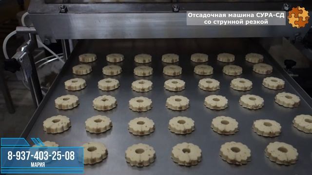 Отрезное печенье на отсадочных машина от Компании ПКО-СУРА смотреть онлайн