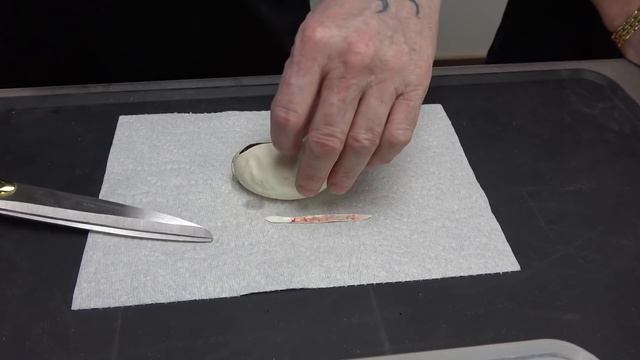 Insane Ultramel Ball Python Egg Cutting! Split Pairing With King Austin! смотреть онлайн