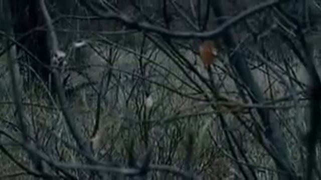 ЖУТКИЕ ужасы 2013