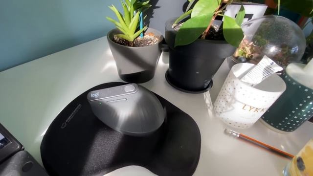 Моя квартира, всё показываю