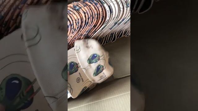 Московский бренд одежды Ритмика / локальное производство смотреть онлайн