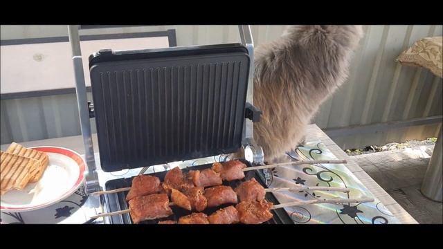 Шашлык на гриле POLARIS PGP 2302D смотреть онлайн