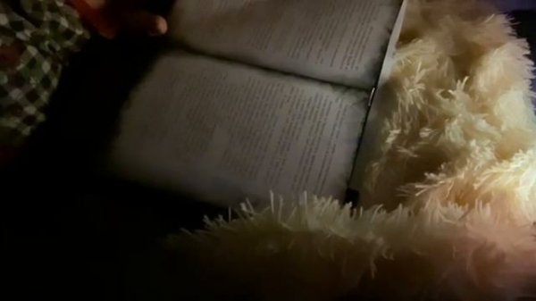 ASMR Whisper / Inaudible Whispers / АСМР Мастер и Маргарита гл.2 шёпотом/ ASMR Reading book