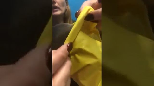 Дождевик для собак: для собак: левретка, ксолоинцкуинтли, басенджи. смотреть онлайн
