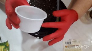 Гелиопсис. Посев семян #гелиопсис