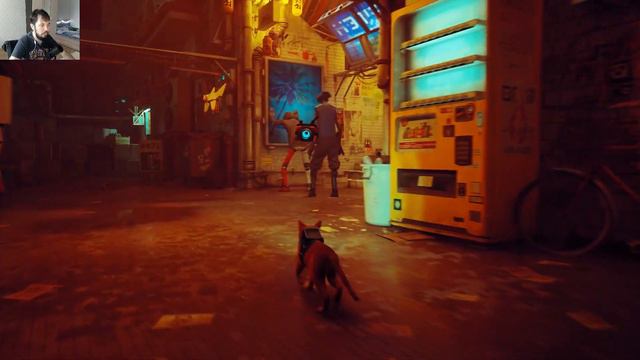 ВСЕ ВЫШЕ И ВЫШЕ.STRAY#4 смотреть онлайн