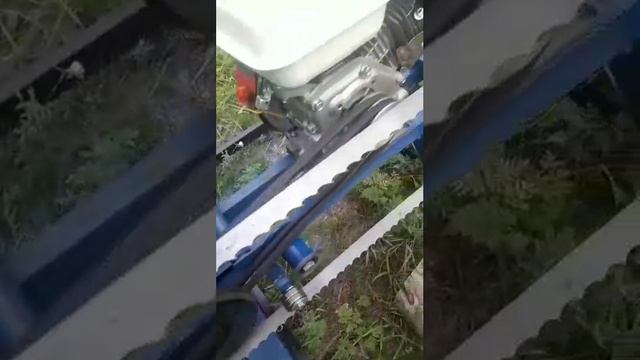 VID-20190823-WA0003.mp4 смотреть онлайн