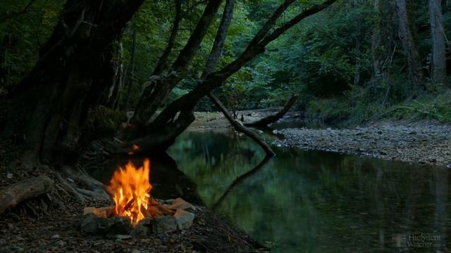 Как размножить калину черенками? смотреть онлайн