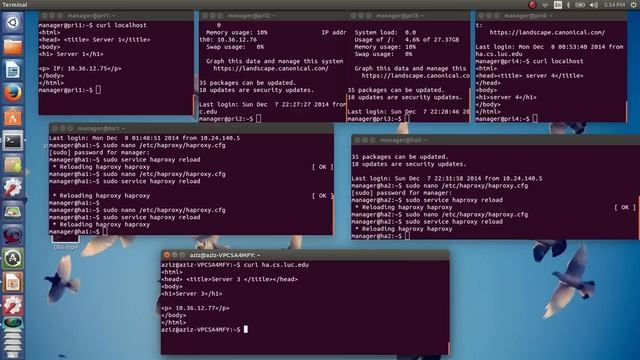 HAproxy configuration and Load balancing 2 смотреть онлайн