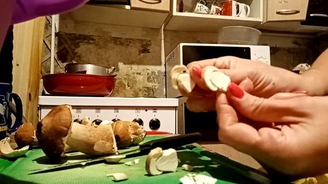 Грибная пора смотреть онлайн