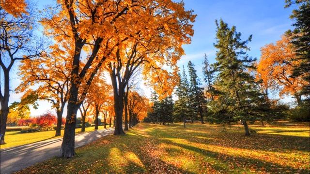 Осень,Осень, в гости просим смотреть онлайн