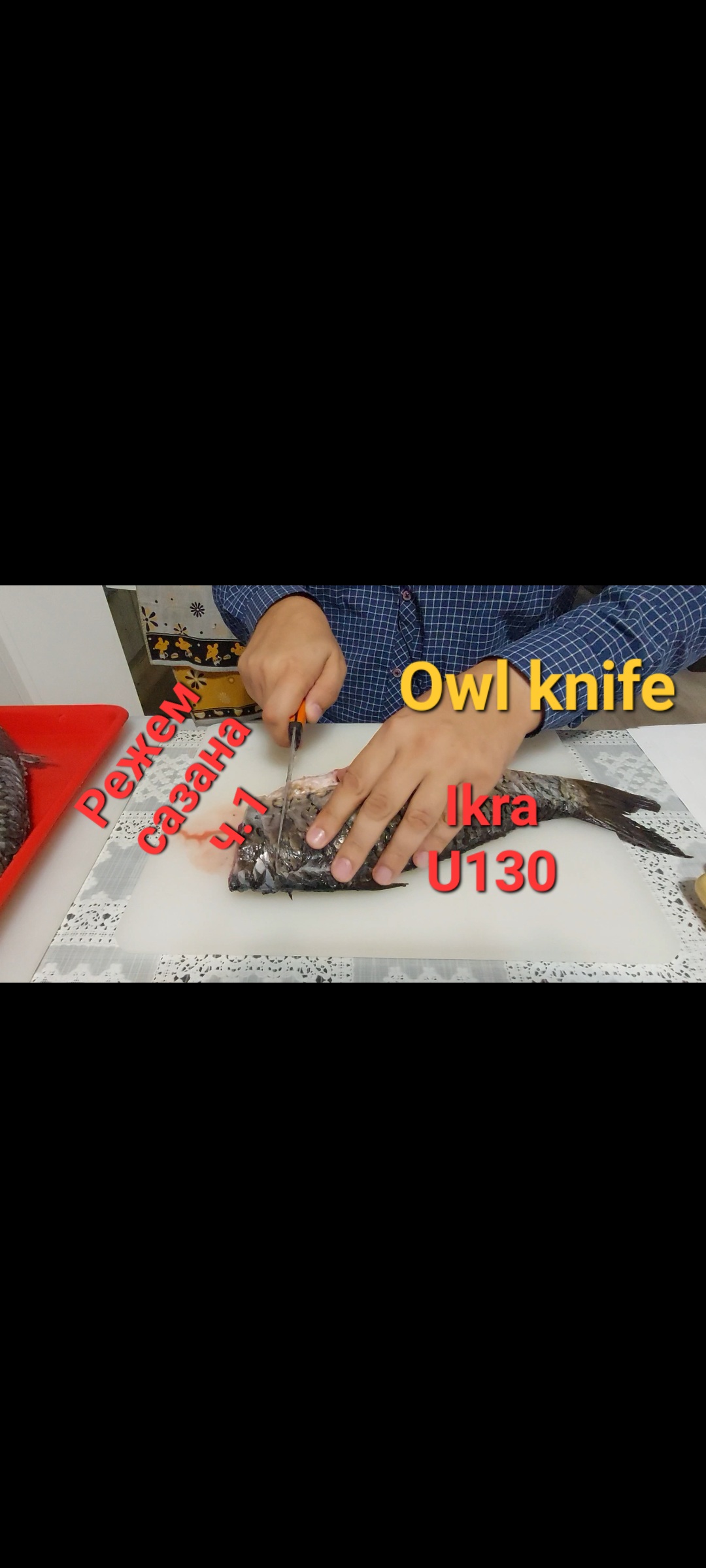 Ножи Owl knife универсальный и Ikra. Режем сазана ч.1. смотреть онлайн