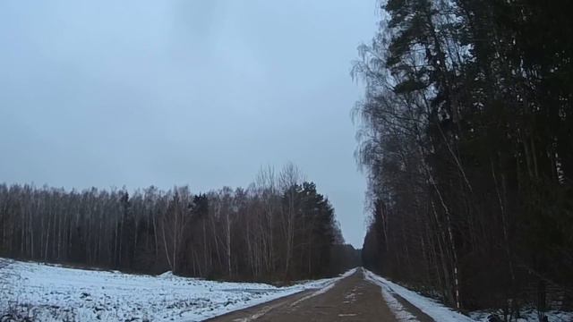 Охота на зайца и лису 3 12 2017 с пегими гончими.