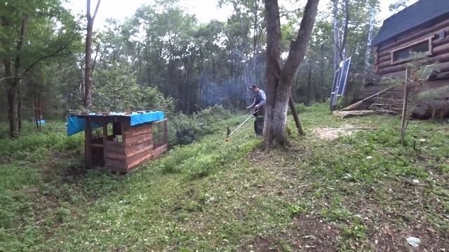 ПРОЛИВНЫЕ ДОЖДИ В ТАЙГЕ, ВОДА В РЕКЕ ВЫШЛА ИЗ БЕРЕГОВ. смотреть онлайн