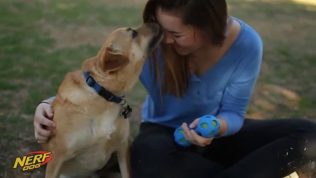 Боннифаций -Nerf Dog Гантель светящаяся Light Up смотреть онлайн