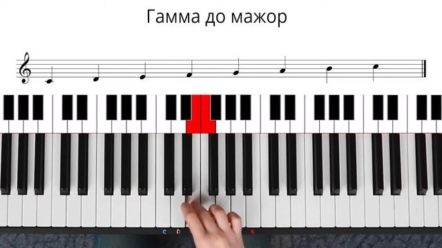 С чего начать игру на ФОРТЕПИАНО НОВИЧКУ смотреть онлайн