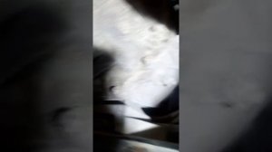 как снять троса переключения передач с коробки форд транзит после 2000 года задний привод