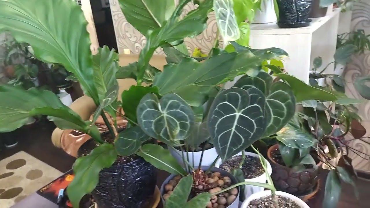 По горячим следам по желанию Светок ;) смотреть онлайн