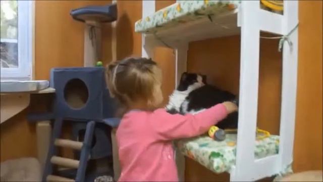 Аня в гостях у котиков смотреть онлайн