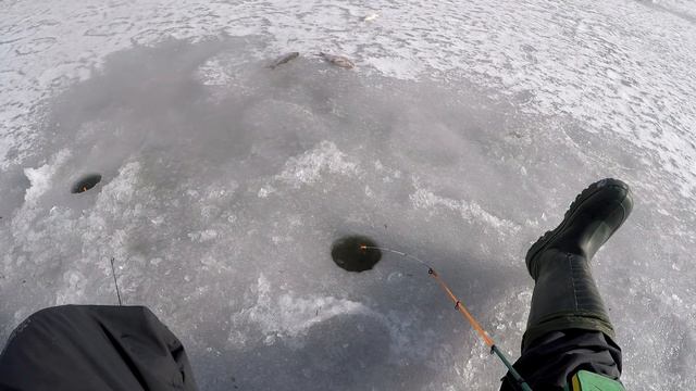 В этой речушке КРУПНАЯ ПЛОТВА стоит, Ловля Крупной Плотвы, Ловля плотвы зимой, Зимняя плотва смотреть онлайн