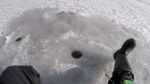 В этой речушке КРУПНАЯ ПЛОТВА стоит, Ловля Крупной Плотвы, Ловля плотвы зимой, Зимняя плотва