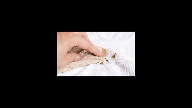 Как вывести пятно от шоколада? смотреть онлайн