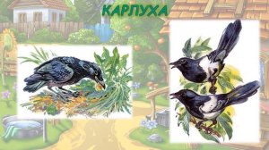 Николай Сладков «Лесные сказки»