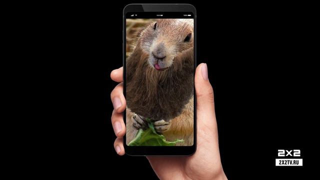 Рейтинг 2х2 за 2-8 октября смотреть онлайн