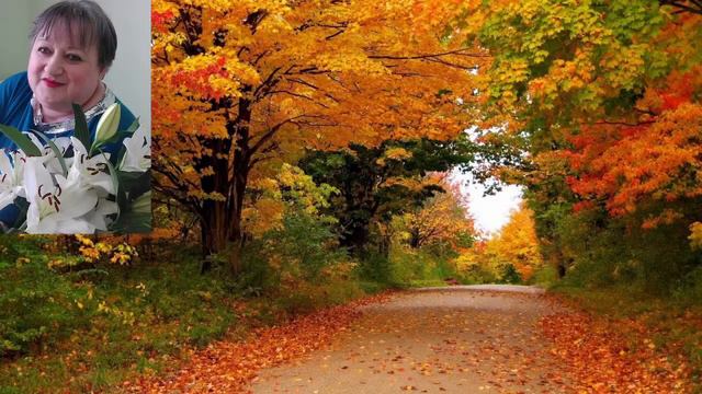 Стрим бот с вами смотреть онлайн