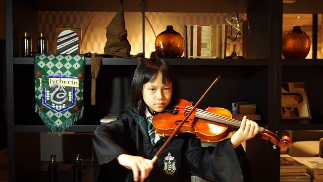 Hedwig's Theme - Harry Potter, Violin Cover | AryaViolin смотреть онлайн