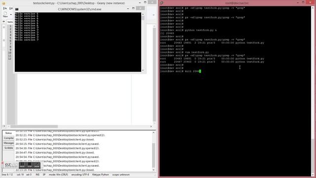 python forking tcp server смотреть онлайн