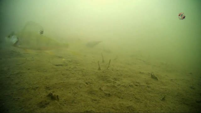 3. ПОДВОДНАЯ СЪЁМКА поклёвок на поплавок. речка Рожайка. Underwater. Fishing Рыбалка- как вижу её Я смотреть онлайн