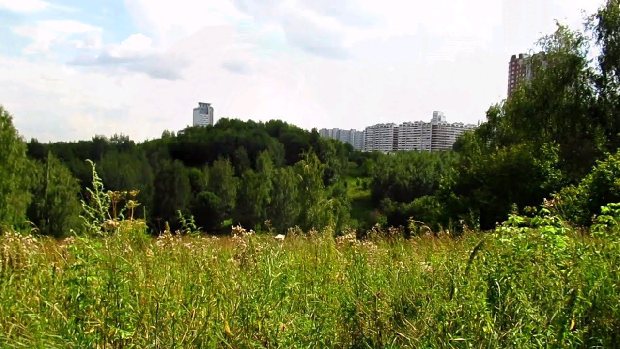 01.08.2023. Парк "Крылатские холмы" (Москва)