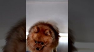 Плинтус с подсветкой с датчиком движения