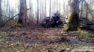 Поездка в лес за валежником на самодельном минитракторе.Minitractor,,Radomir,,
