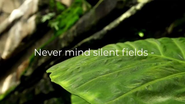 A Poem About Nature смотреть онлайн