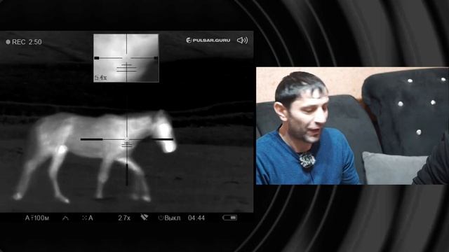 Охота на волка. Волки нападают на лошадей но не повезло им. смотреть онлайн