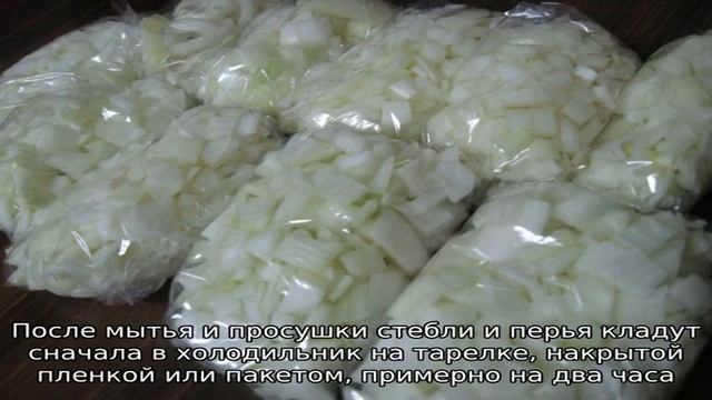 Как правильно заморозить лук-порей на зиму и можно ли это сделать в домашних условиях смотреть онлайн