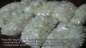 Как правильно заморозить лук-порей на зиму и можно ли это сделать в домашних условиях